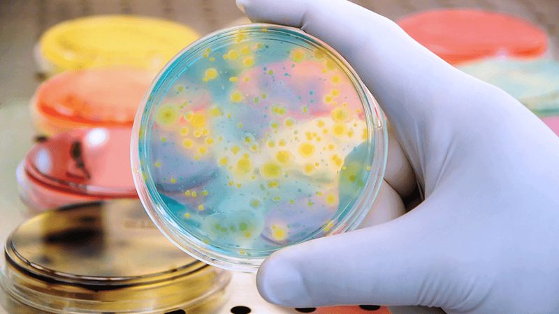 小分子新药CDMO代工厂：揭秘其核心价值与选择要点**