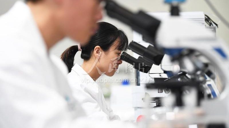 实验室耗材标准规范：解读与下载指南