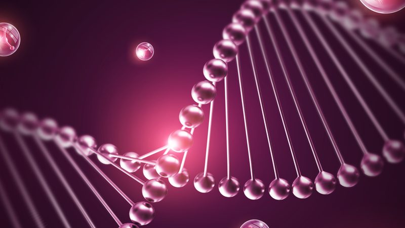 成都实验室细胞培养基直销：揭秘其背后的科学**