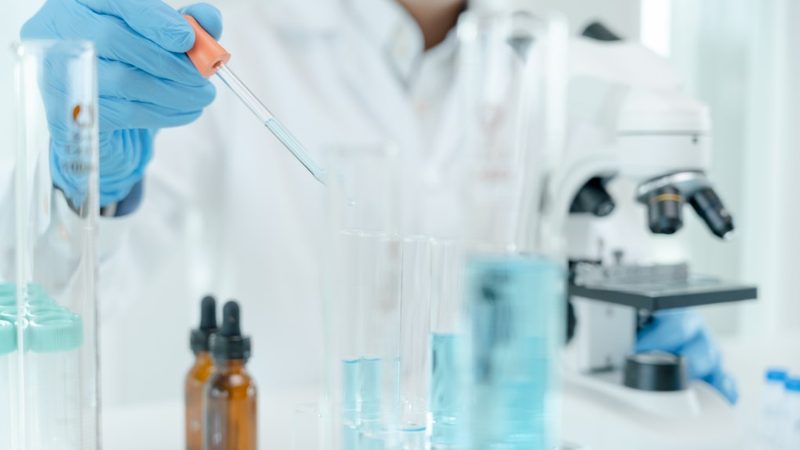 淀粉加工酶制剂：如何精准选型，提升加工效率**