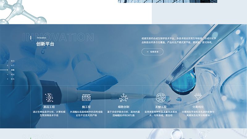 PCR检测代理合同模板：构建合作基石的必备要素
