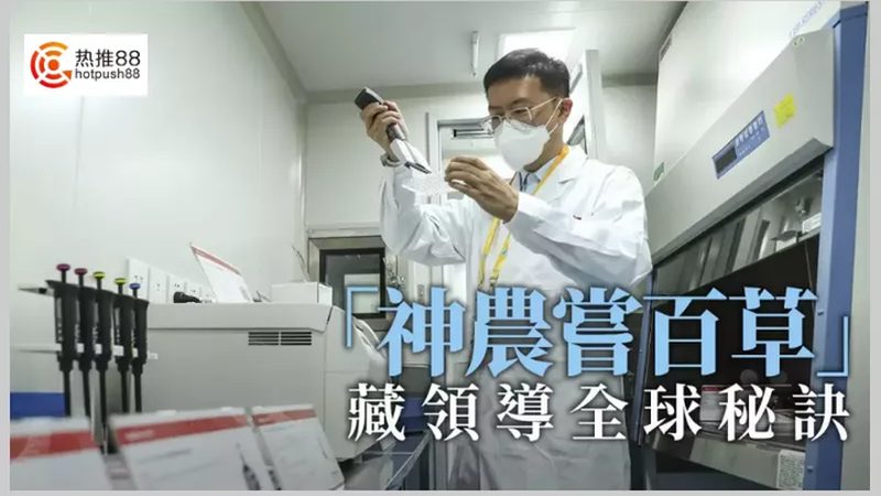 CRO在医学研究中的角色与作用