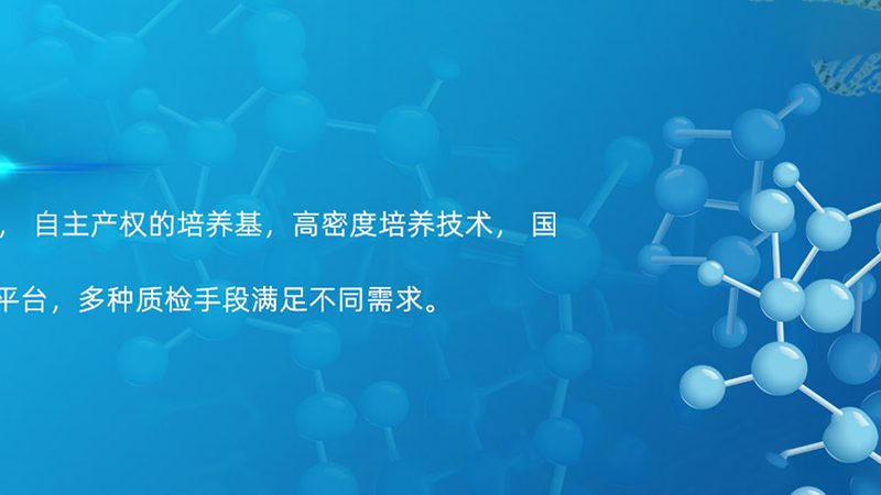 单克隆抗体规格与稳定性：揭秘影响药物疗效的关键因素**