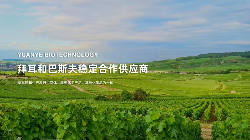 以下是一些上海知名生物试剂公司的地址信息，供您参考：