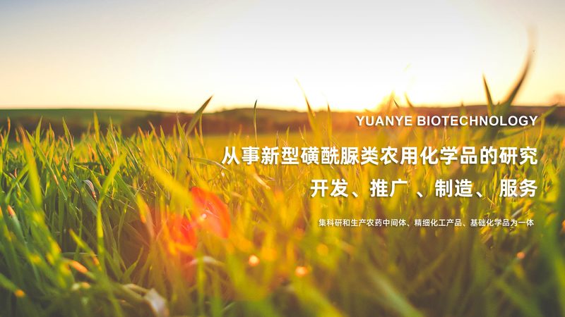引物合成质量对比方法