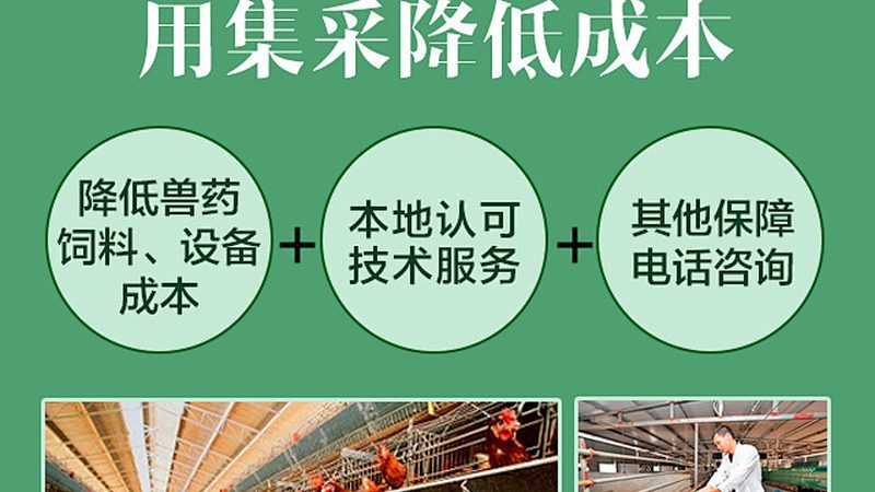 酒精生产用工业酶：揭秘其报价背后的关键因素**