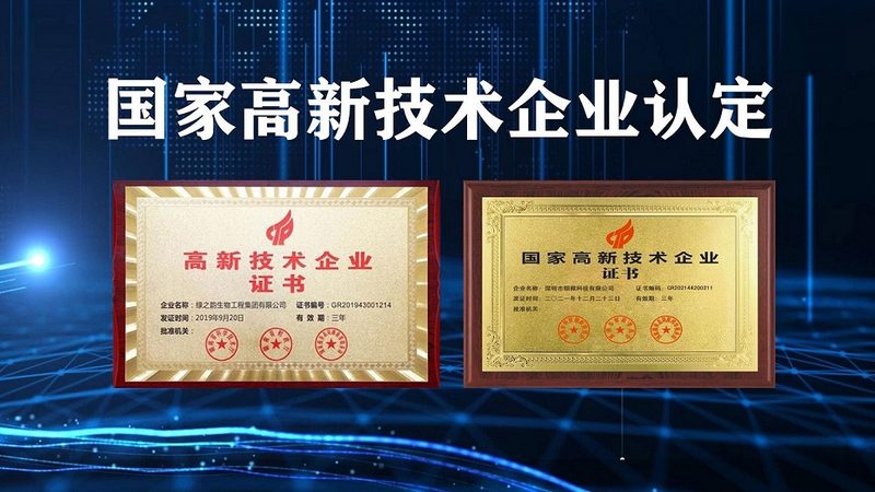 CDMO项目合作：揭秘药物研发背后的专业服务