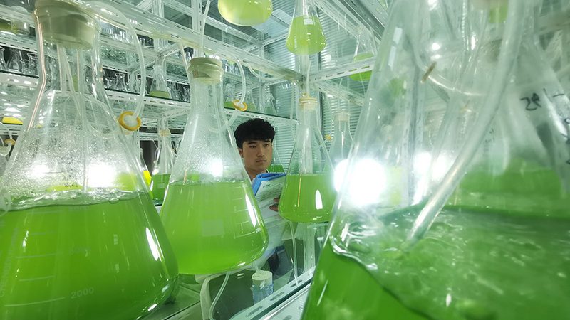 小分子CDMO中间体定制价格：揭秘定制化背后的考量**